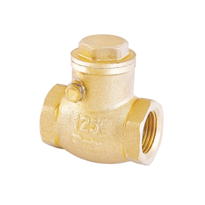 DN15 إلى DN100 1/2 بوصة صمام فحص نحاسي صمام فحص كروي نحاسي